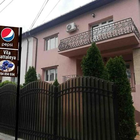 Casa Cattleya Hotel Targu Jiu Bagian luar foto