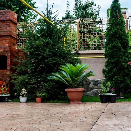 Casa Cattleya Hotel Targu Jiu Bagian luar foto
