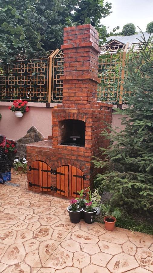 Casa Cattleya Hotel Targu Jiu Bagian luar foto